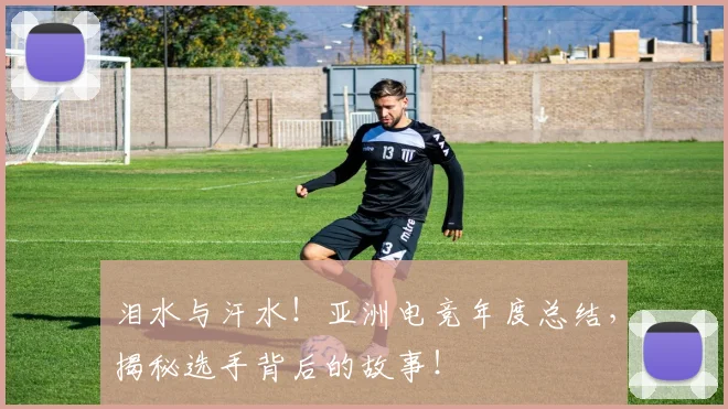 泪水与汗水！亚洲电竞年度总结，揭秘选手背后的故事！