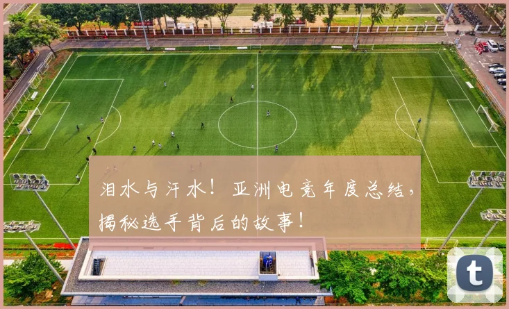 泪水与汗水！亚洲电竞年度总结，揭秘选手背后的故事！